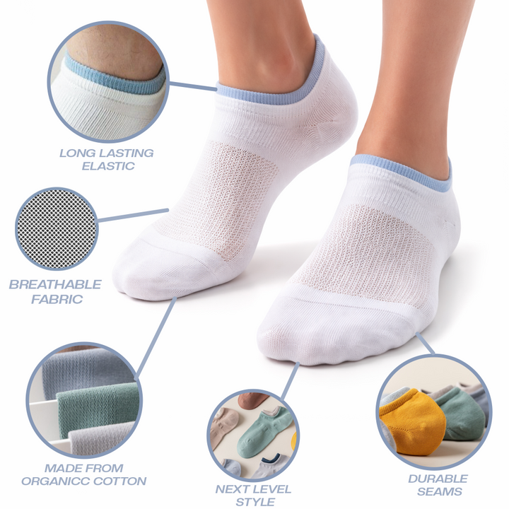 Addy Edition - Pack of 3