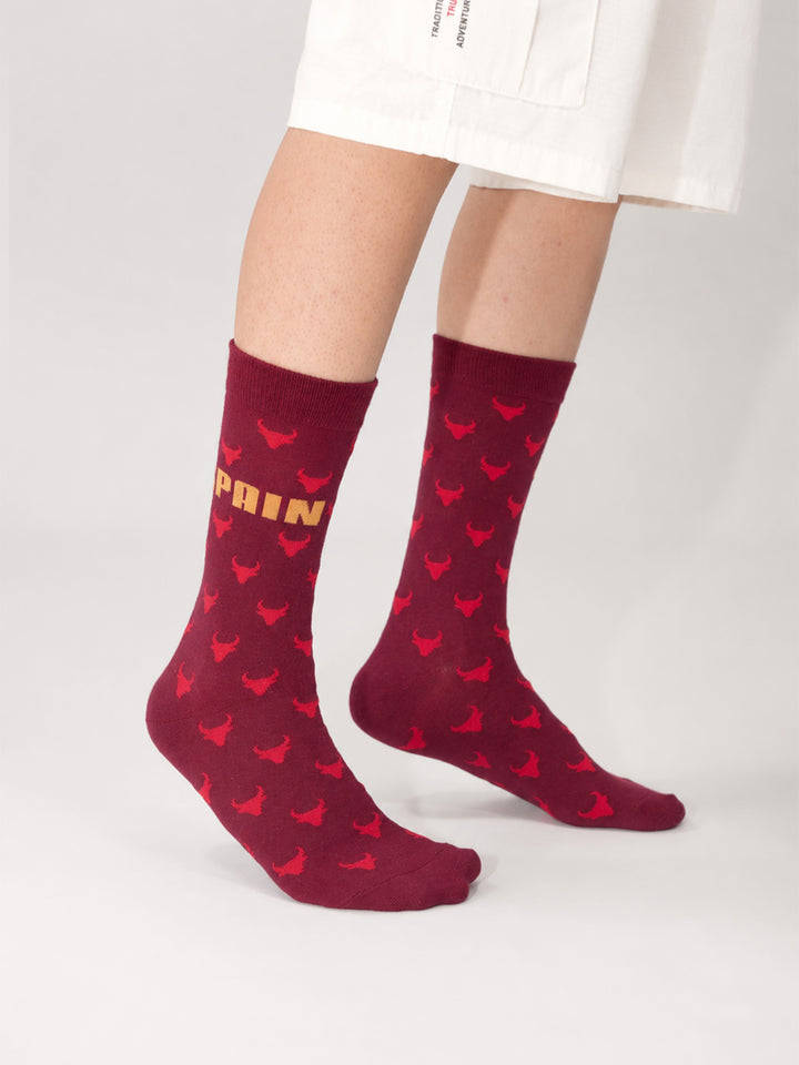 SPAIN CHAMPION SOCKS