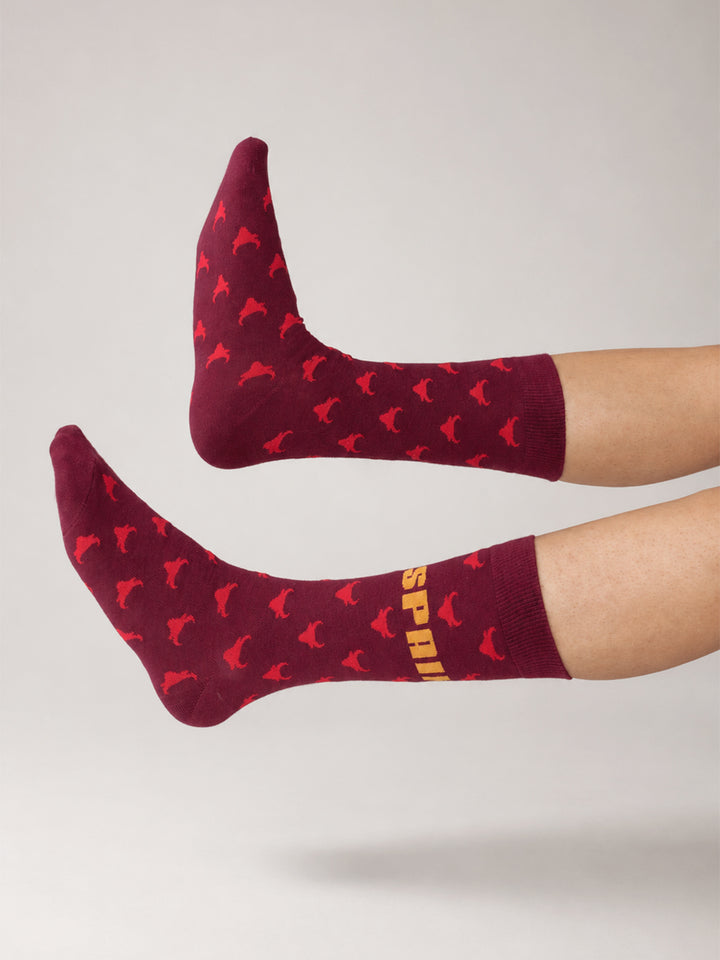 SPAIN CHAMPION SOCKS