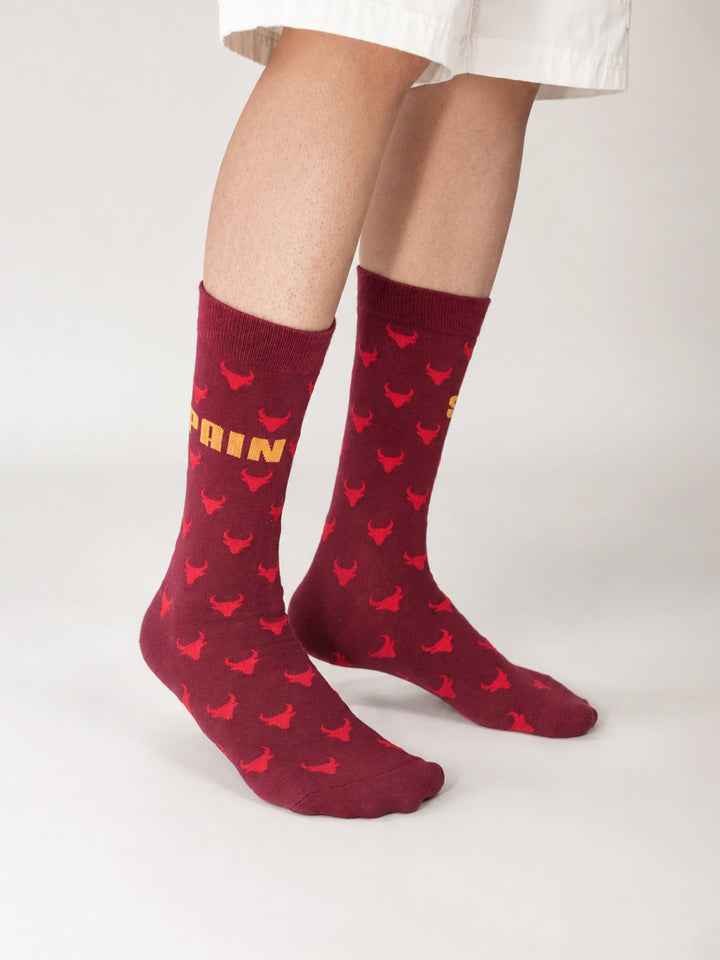 SPAIN CHAMPION SOCKS