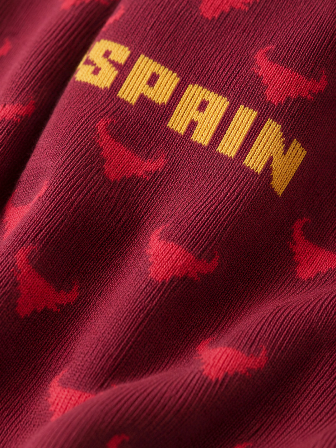 SPAIN CHAMPION SOCKS