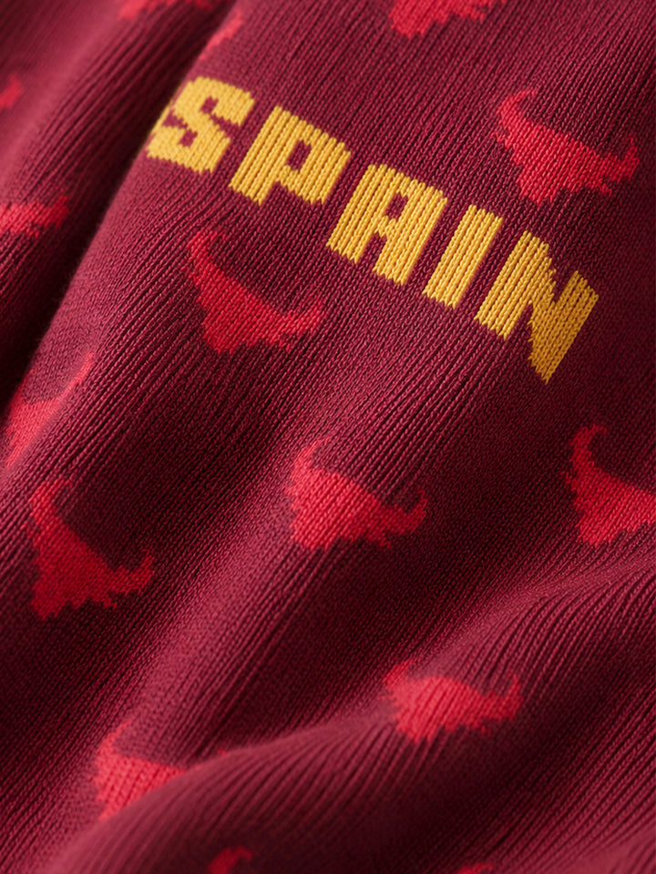 SPAIN CHAMPION SOCKS