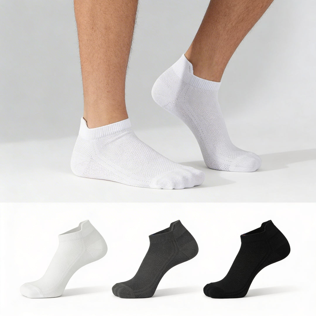 Netshot Edition - Pack of 3